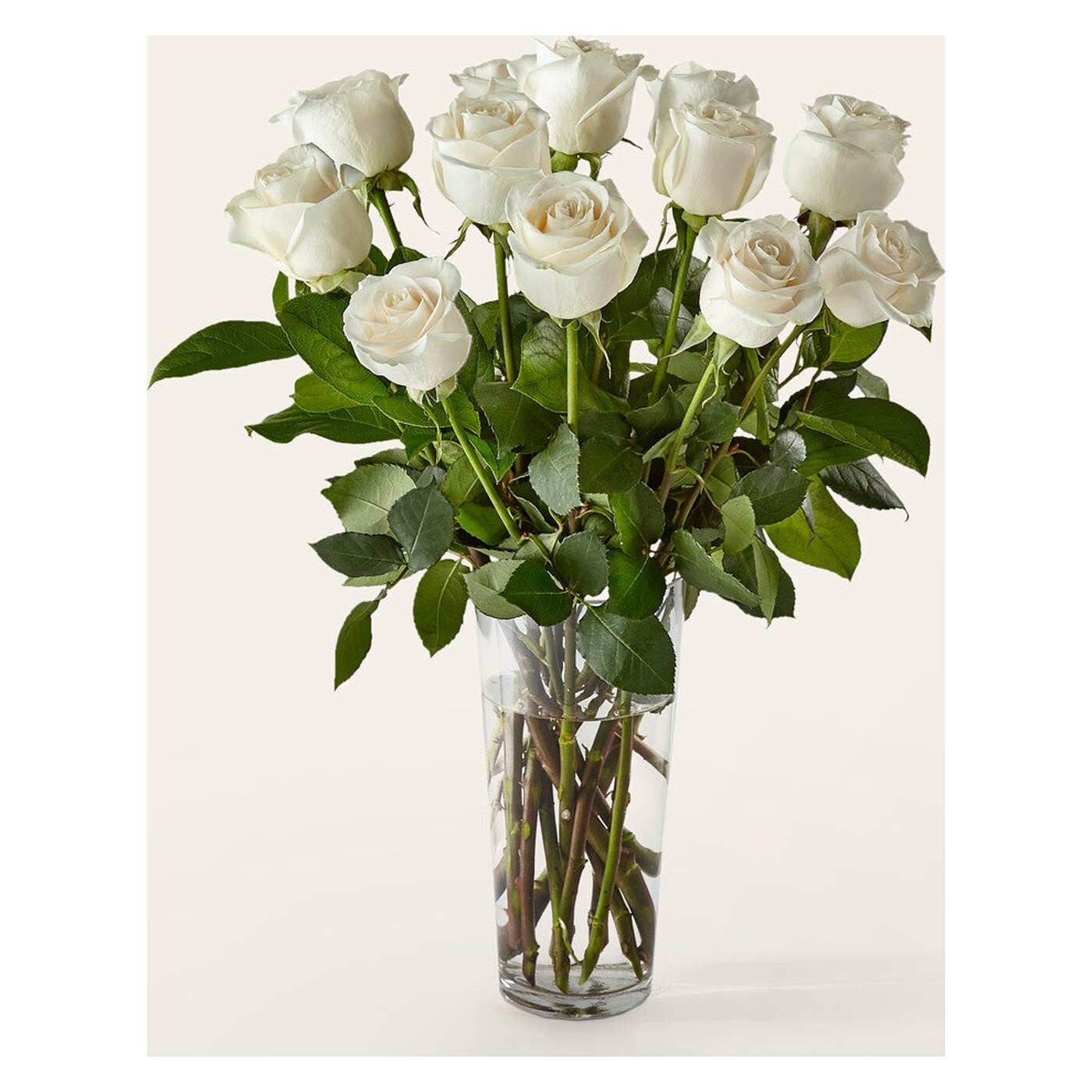 Long Stem White Rose Bouquet