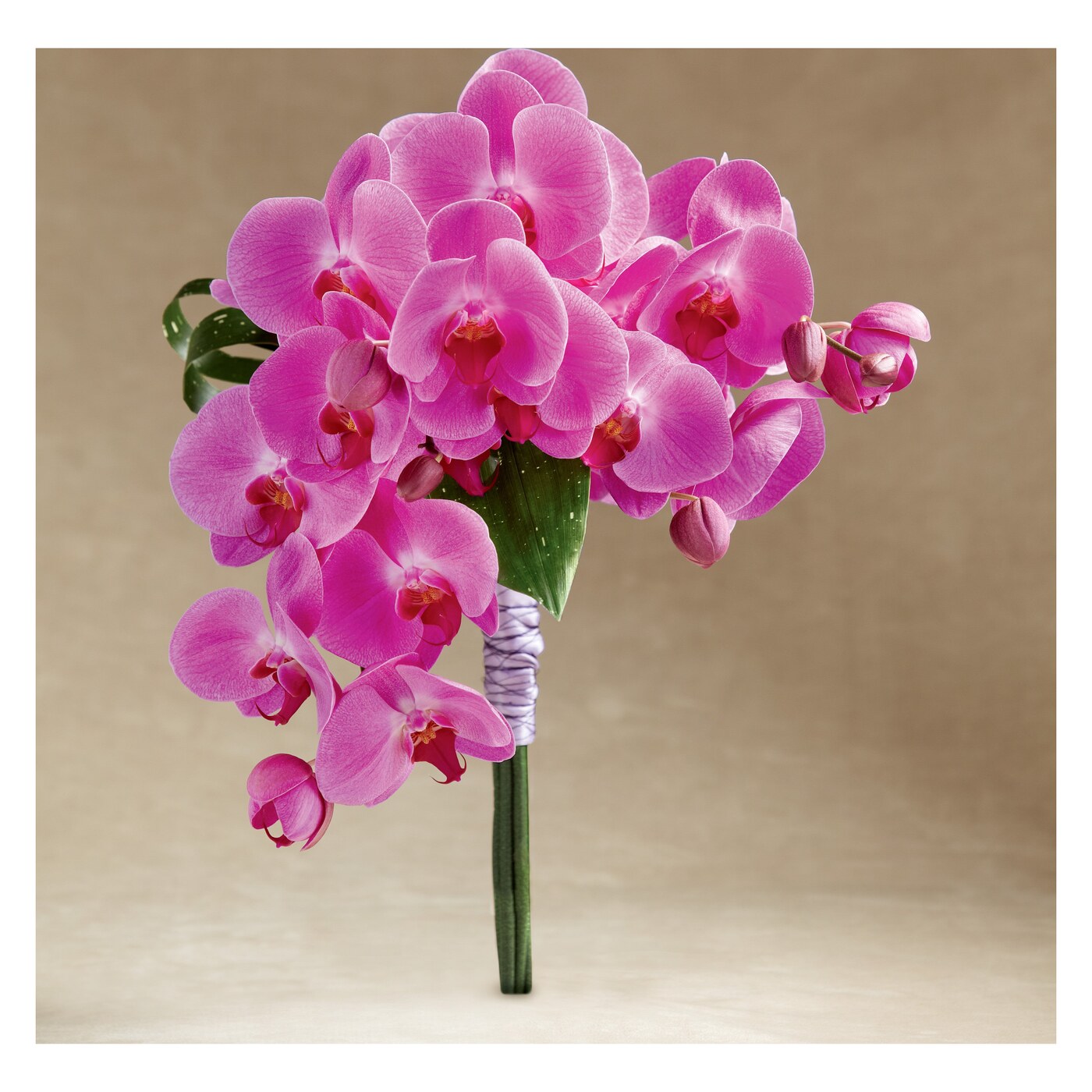 Glorious Bouquet