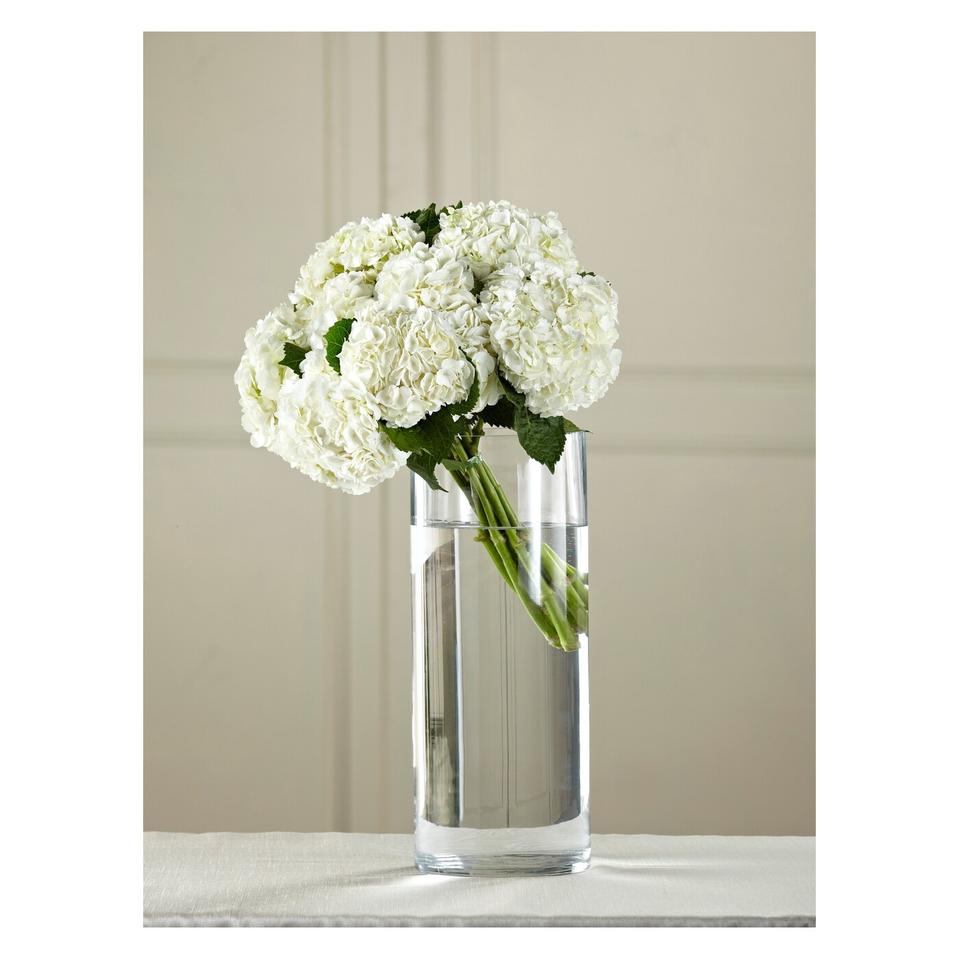 White Hydrangea Hand-Tied Bouquet