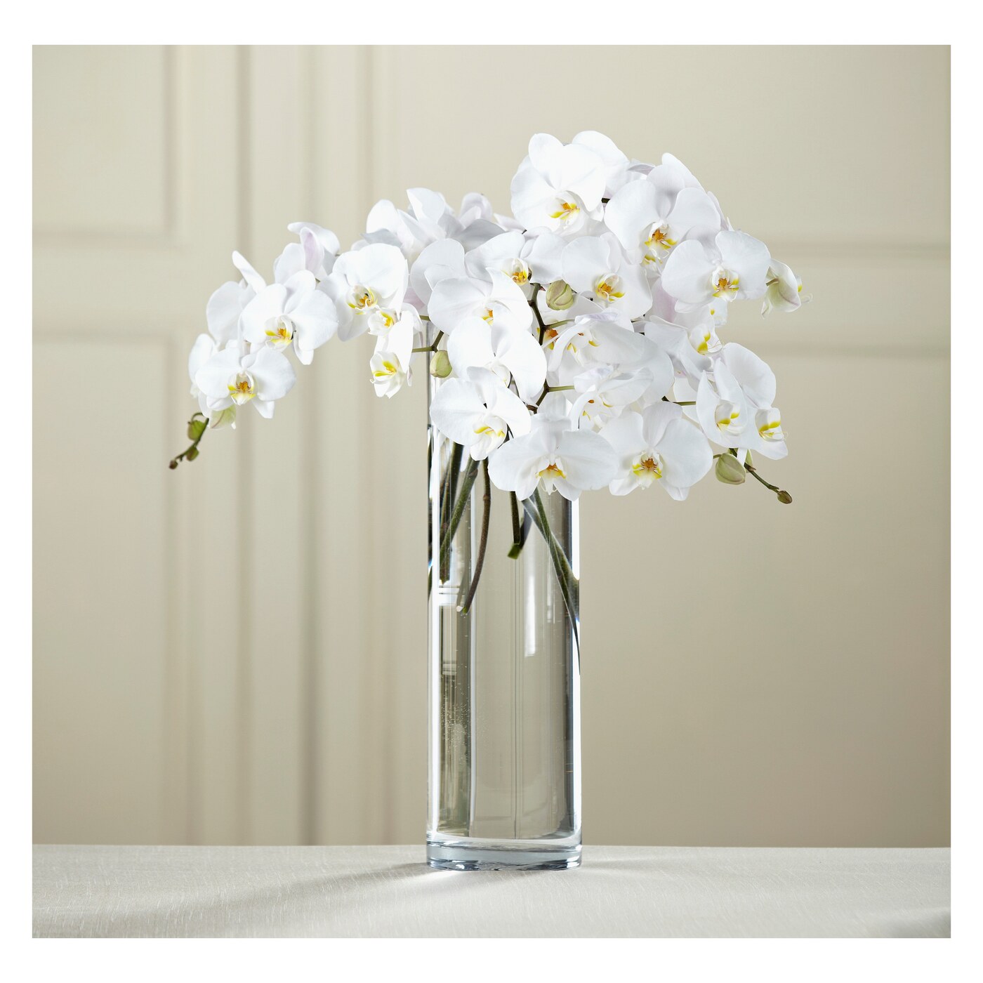 White Phalaenopsis Bouquet