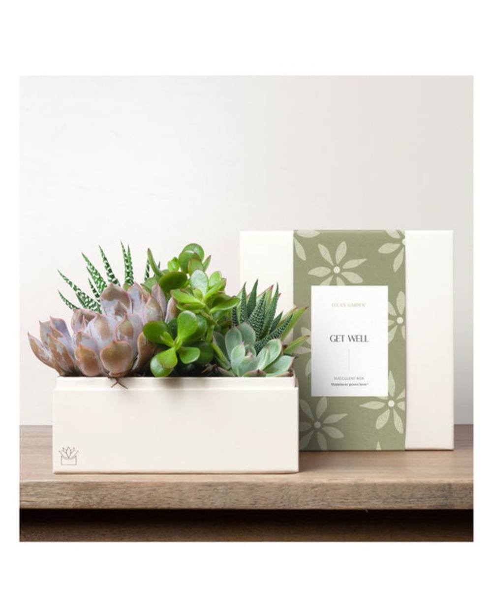 Lula's Premium Urban Garden - Get Well