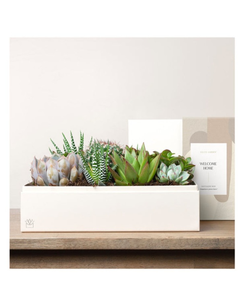 Lula's Premium Lush Garden - Welcome Home