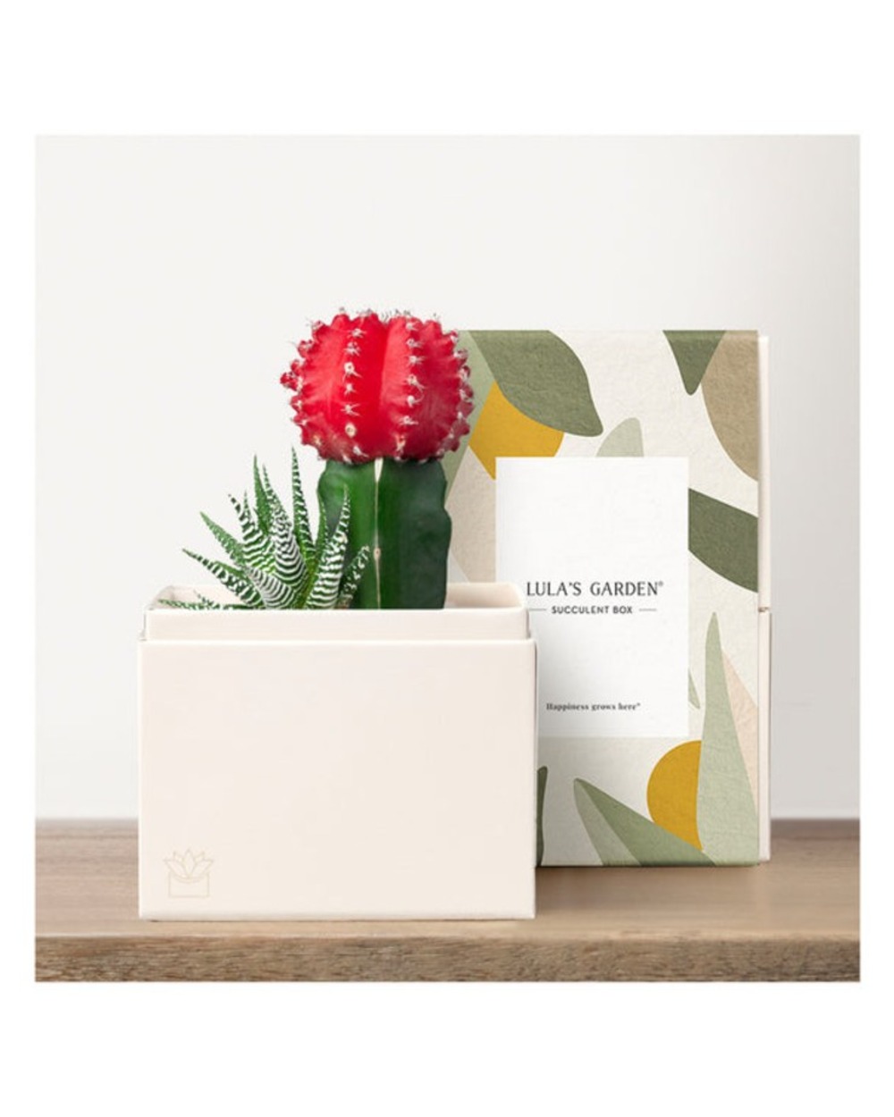 Lula's Petite Joy Garden - Lula's Garden