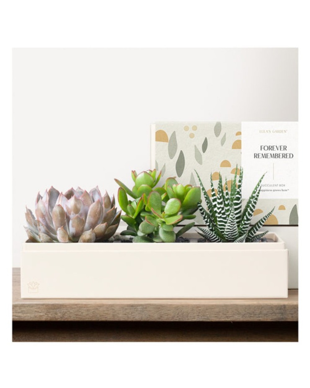Lula's Deluxe Verdant Garden - Forever Remembered