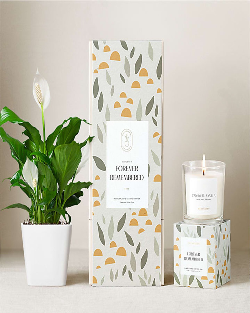 Lula's Peace Lily Plant Gift Set - Forever Remembered