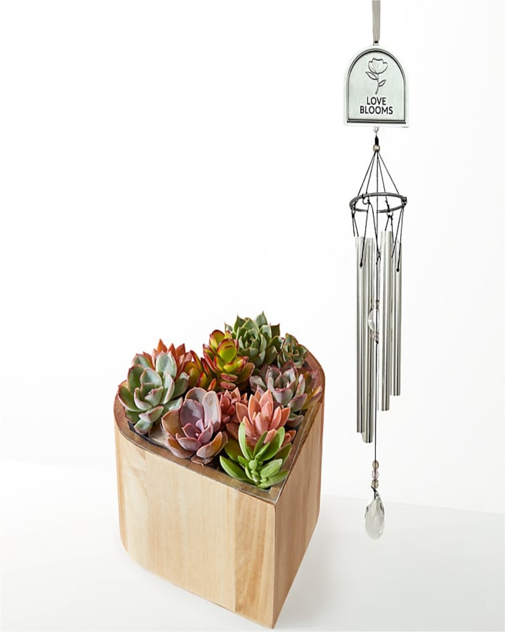 My Heart Succulent Garden and Love Blooms Windchime Gift Set