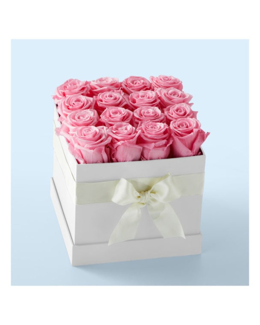 Pink Forever Roses - 16 Preserved Roses